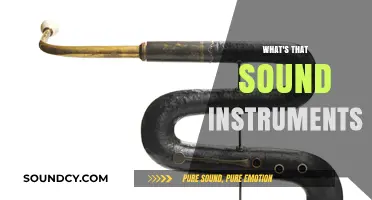 Unveiling the Mystery: Identifying and Exploring Unique Instrument Sounds