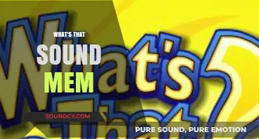 Decoding the 'What's That Sound' Mem: Origins, Meaning, and Viral Impact