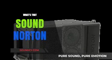 Unraveling the Mystery: What's That Sound, Norton? Explained