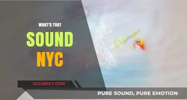 Unraveling NYC's Unique Soundscape: What's That Sound in the City?