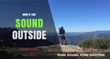 Unraveling the Mystery: What's That Sound Outside Your Window?