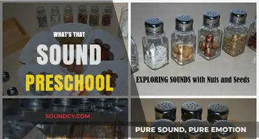 Exploring Preschool Sounds: What’s That Noise and Why It Matters