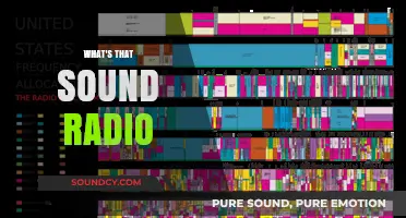 What's That Sound? Exploring the Mysteries of Radio Frequencies