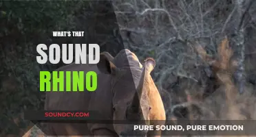 Unraveling the Mystery: What's That Sound Coming from Rhinos?