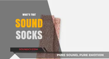 Unraveling the Mystery: What's That Sound Socks Make?