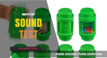 Unraveling the Mystery: What's That Sound Test Explained