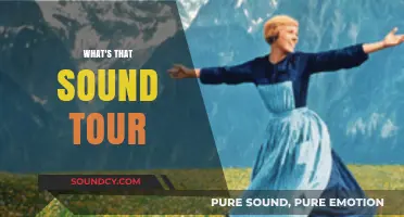 Exploring the What's That Sound Tour: A Musical Adventure Unveiled