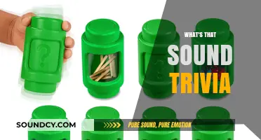 Unraveling the Mystery: What's That Sound Trivia Explained