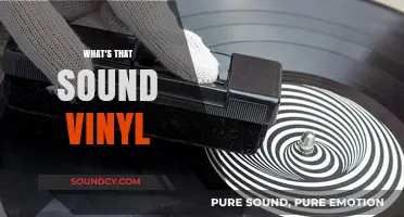 What's That Sound? Exploring the Unique Noise of Vinyl Records