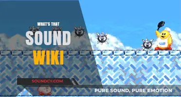 Unraveling Mysteries: Exploring the 'What's That Sound Wiki' Phenomenon