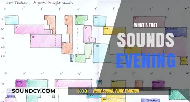 Unraveling the Mysteries of Evening Sounds: A Guide to Nighttime Noises