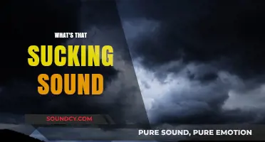 Unraveling the Mystery: What's That Sucking Sound and Why It Matters