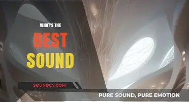 Exploring the Ultimate Sound: What Makes It Perfect for You?