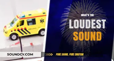 Exploring the World's Loudest Sounds: Decibel Limits and Extreme Noise