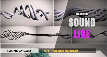 Exploring the Intriguing World of Sounds: What Do They Really Sound Like?