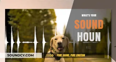 Discover Your Unique Sound: What's Your Hound's Sonic Signature?