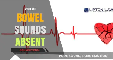 Silent Abdomen: Understanding When Bowel Sounds Are Absent
