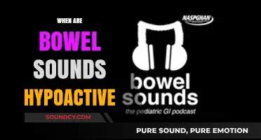Understanding Hypoactive Bowel Sounds: Causes, Symptoms, and When to Worry