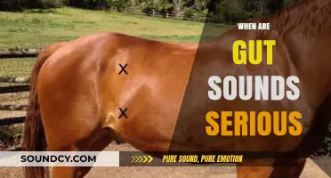 When Gut Sounds Signal Trouble: Recognizing Serious Symptoms