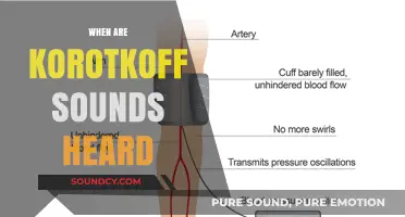 Understanding Korotkoff Sounds: When and How They Are Heard During Blood Pressure Measurement