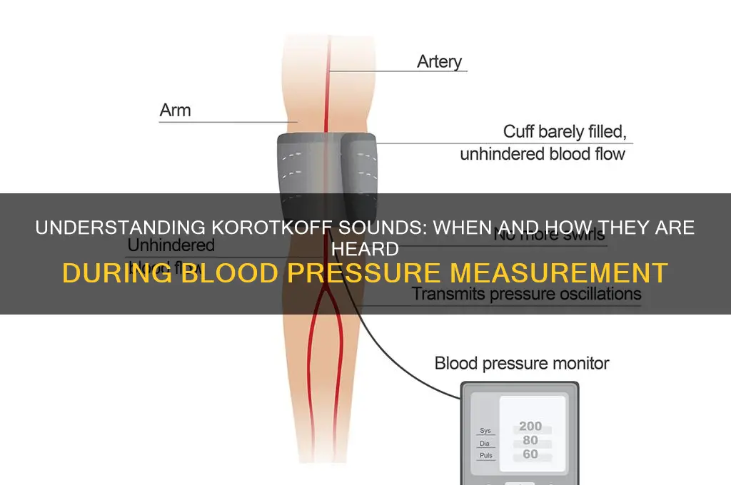 when are korotkoff sounds heard