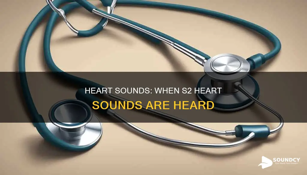 when are s2 heart sounds heard