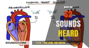 Understanding When S2 Heart Sounds Are Audible in Cardiac Cycles