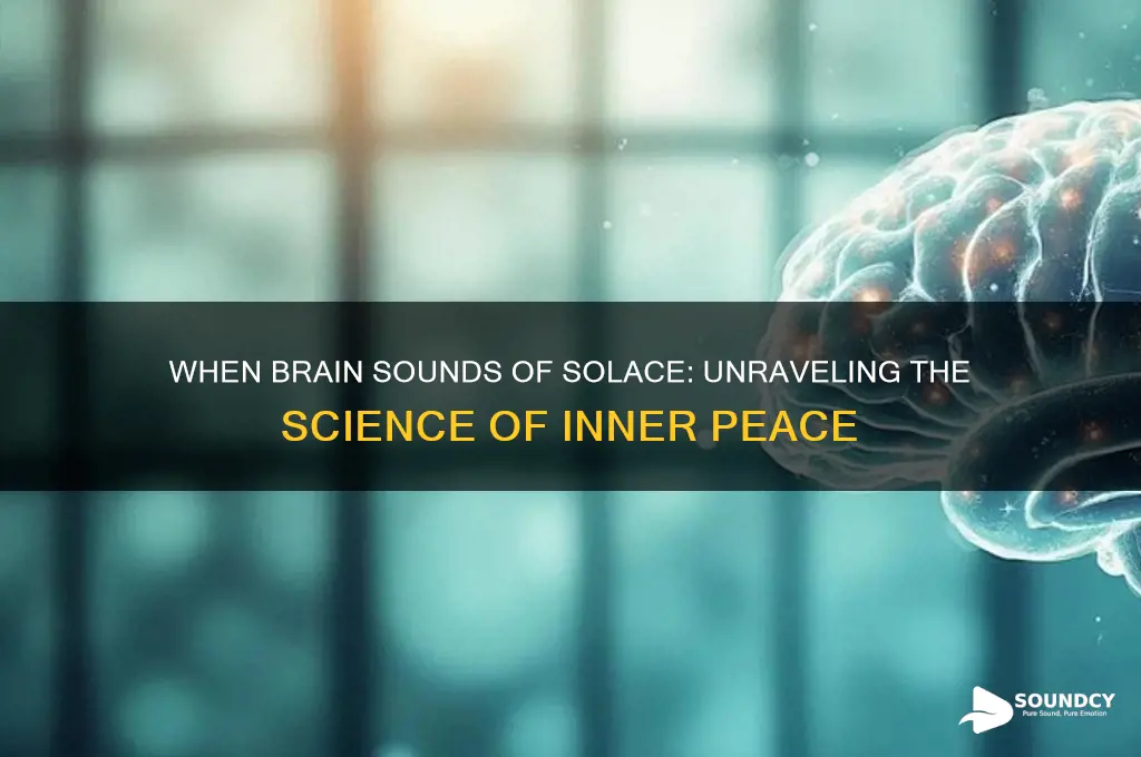 when brain sounds of solace