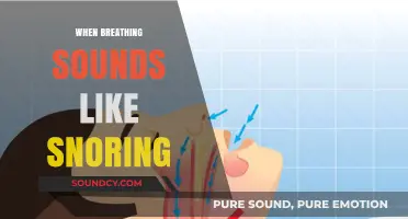 Snoring-Like Breathing: Causes, Concerns, and When to Seek Help