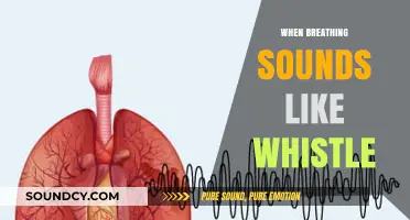 Whistling Breaths: Understanding and Addressing Noisy Breathing Causes