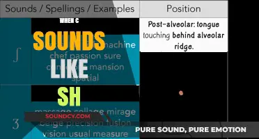 C's Sneaky Transformation: When 'C' Sounds Like 'Sh' in English