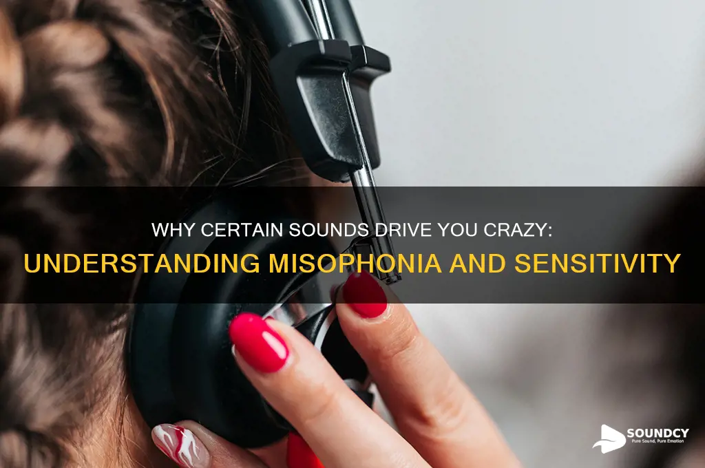 when certain sounds bother you
