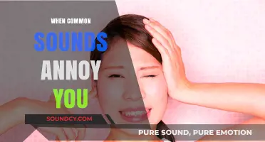 Why Everyday Noises Trigger Irritation: Understanding Misophonia and Sensory Overload