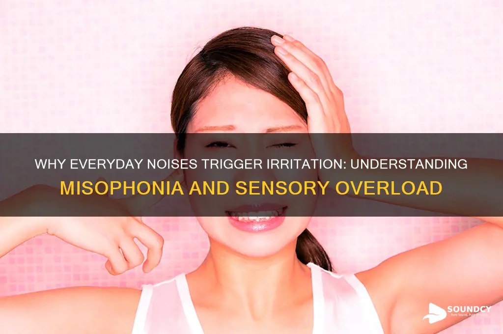 when common sounds annoy you