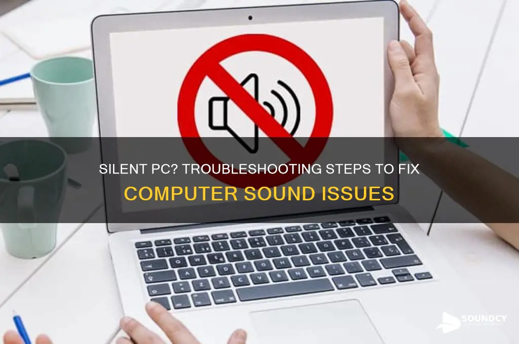 when computer has no sound