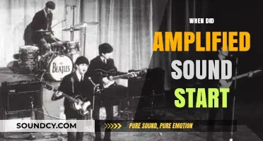 The Evolution of Amplified Sound: A Historical Journey