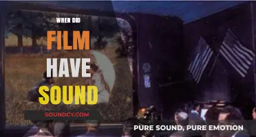 The Evolution of Cinema: When Silent Films Embraced Sound