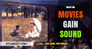 The Evolution of Cinema: When Silent Films Embraced Sound