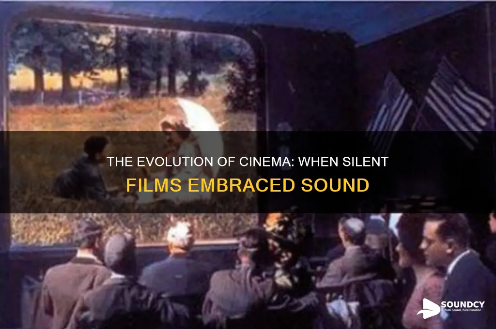 when did movies gain sound