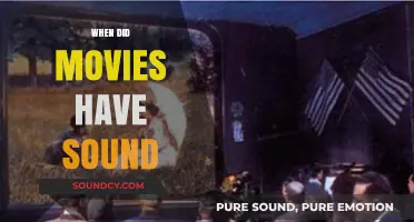 The Evolution of Cinema: When Silent Films Embraced Sound