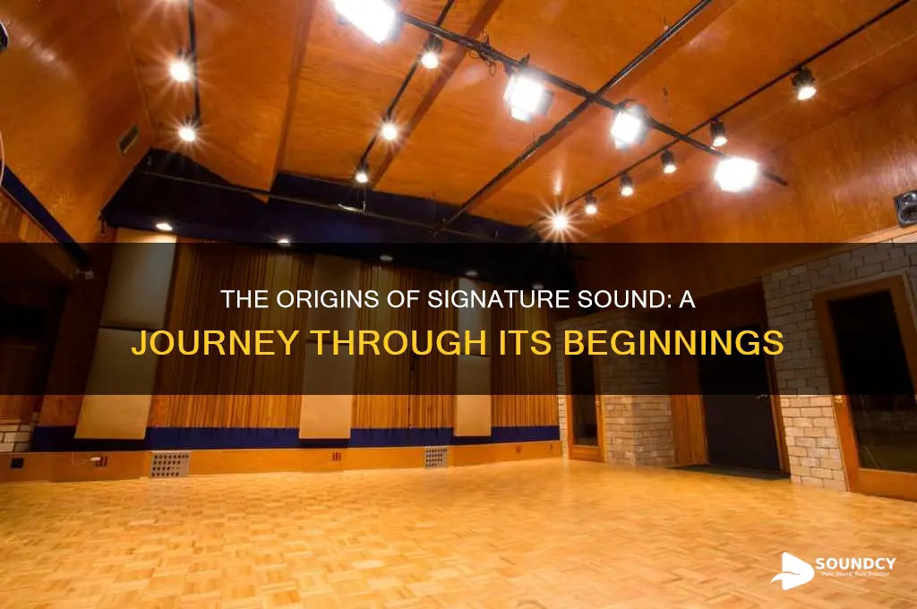 when did signature sound start