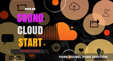 The Birth of SoundCloud: A Journey Through Its Early Beginnings