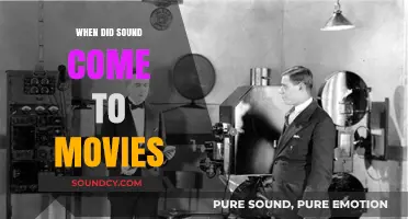 The Evolution of Sound in Movies
