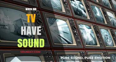 The Evolution of Television: When Did TV Gain Sound?