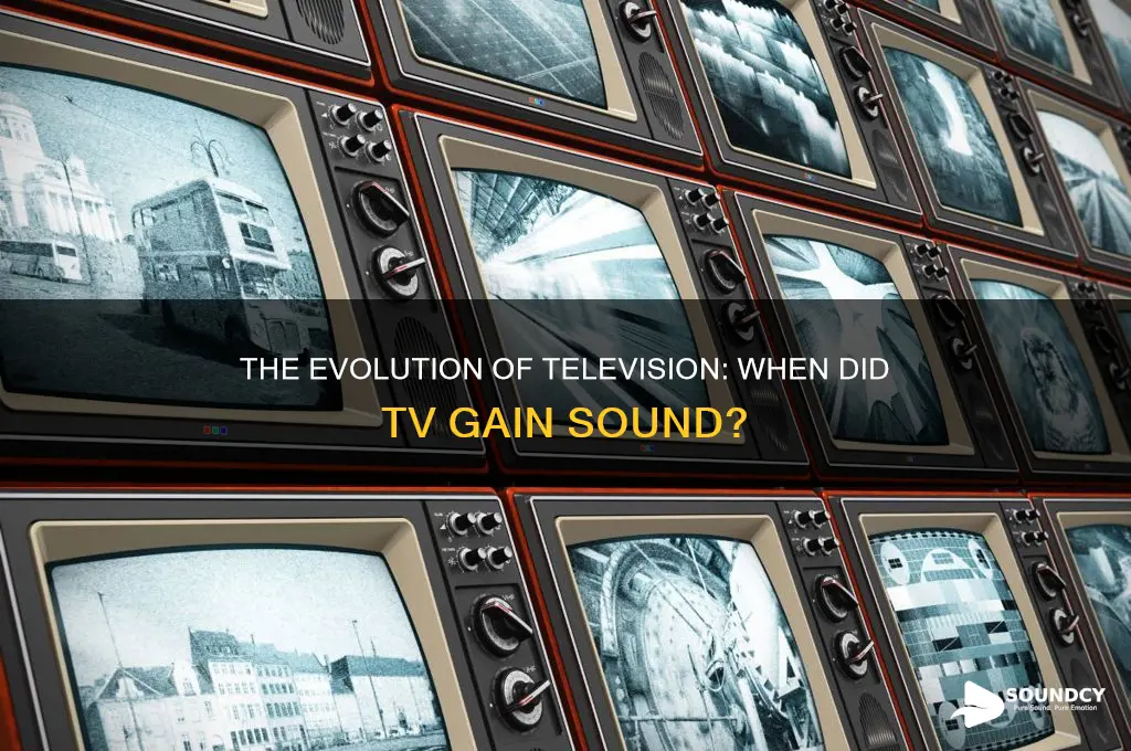 when did tv have sound