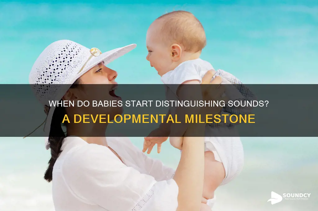 when do babies distinguishing sounds