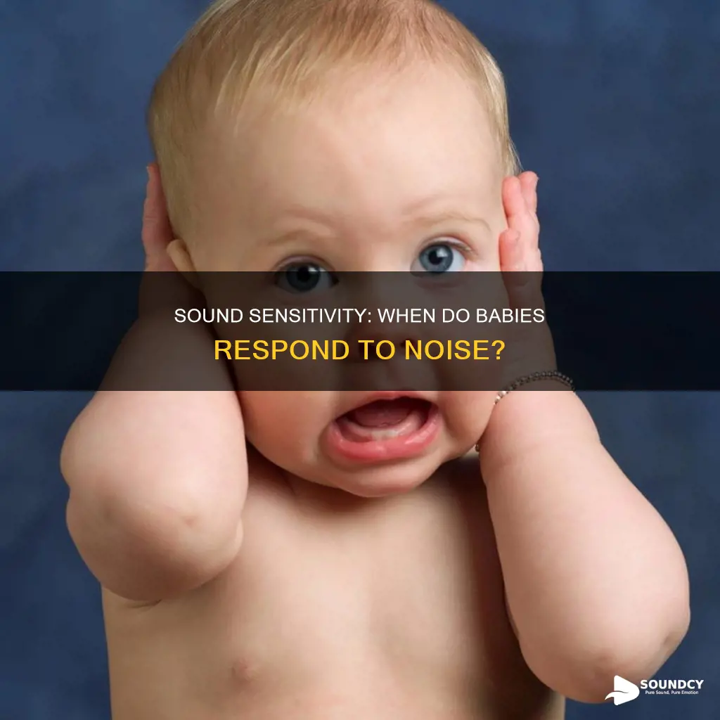 when do babies respond to sound