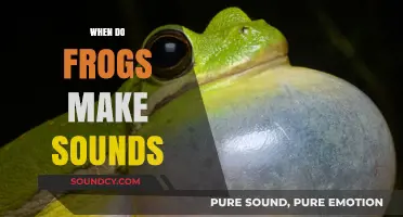 When Do Frogs Make Sounds: Understanding Their Vocalizations and Timing
