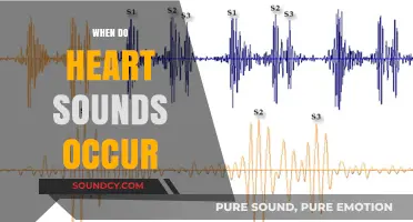 Understanding Heart Sounds: Timing and Significance in Cardiac Cycles
