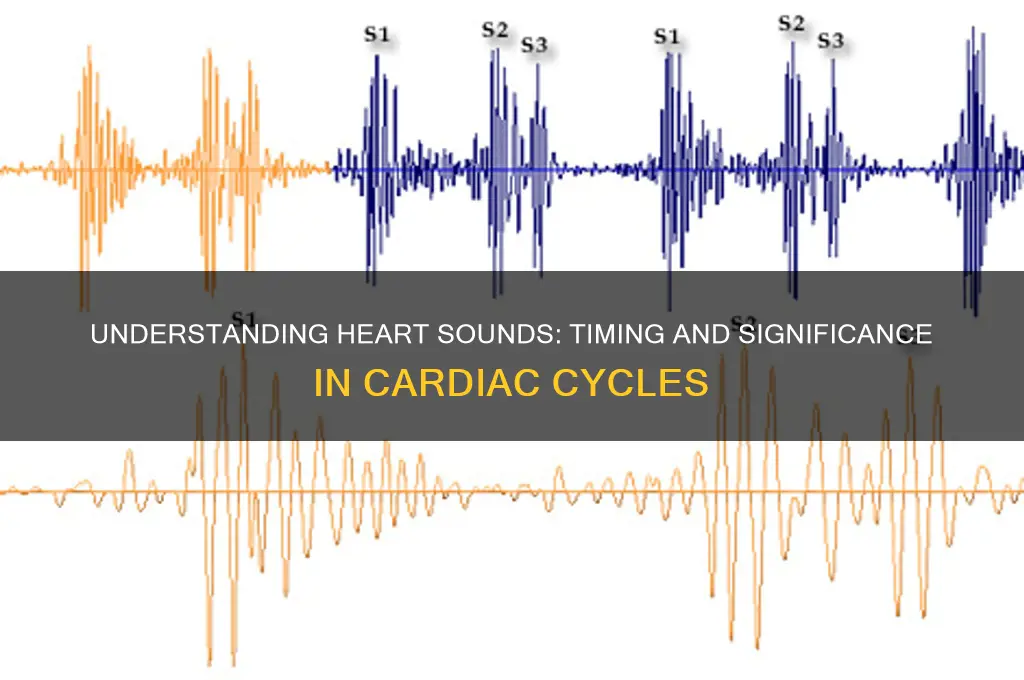 when do heart sounds occur